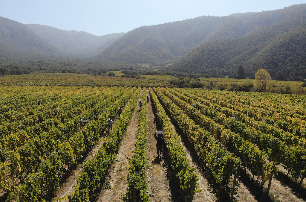 Itata Valley, Concepción, Chile