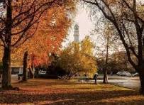 Concepción Herbst 1